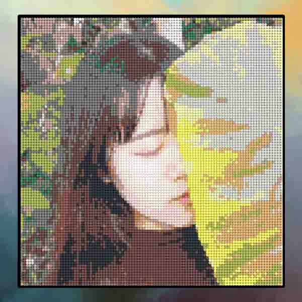 数字油画、钻石画、图钉画、像素画、绕线画、蚊香画、螺旋画